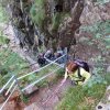p947_arrivee au haut des escaliers copier